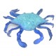 Crab, Maryland Blue  (BA121)