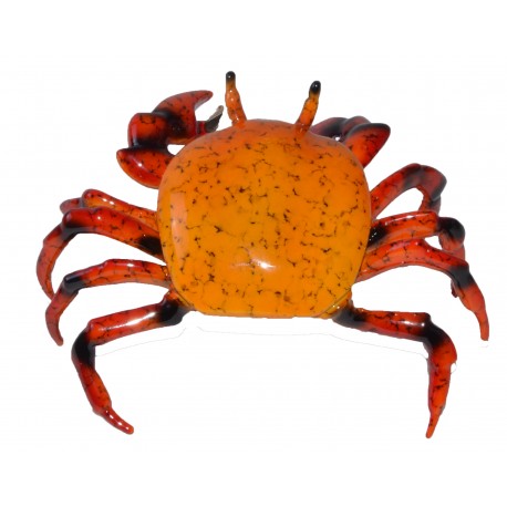 Crab, Fiddler Orange   (BA122)