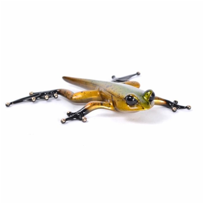 Froglet by Tim Cotterill - R Frogs Gallery