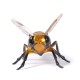 Queen Bee by Jose Munoz