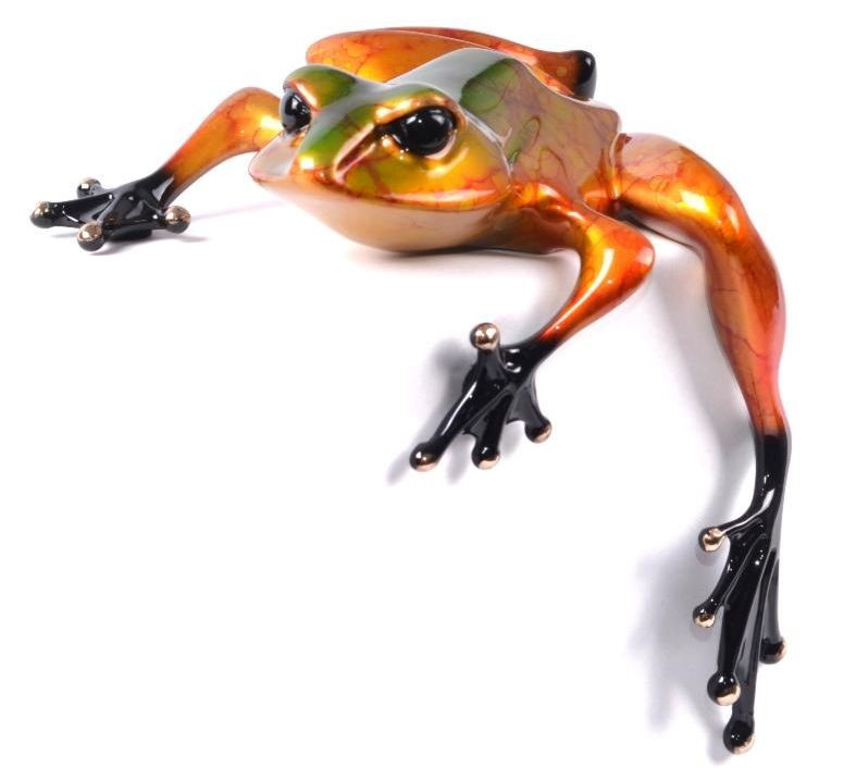 Diego by Tim Cotterill - R Frogs Gallery