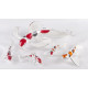 Koi - Reflection Series Set of 5 by Tim Cotterill