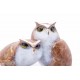 Hoo's Who Artist Proof by Tim Cotterill