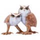 Hoo's Who Artist Proof by Tim Cotterill