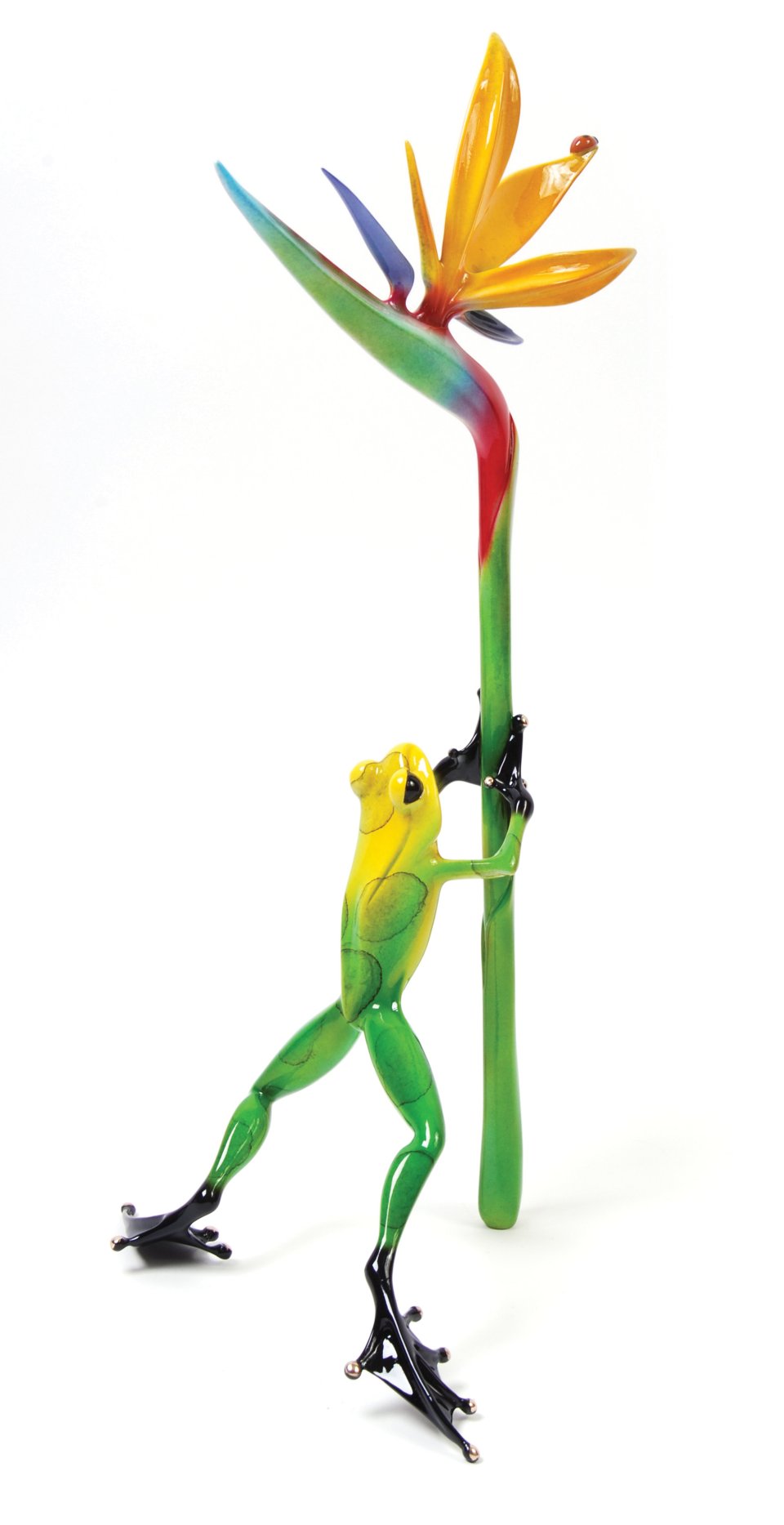 Paradise by Tim Cotterill - R Frogs Gallery