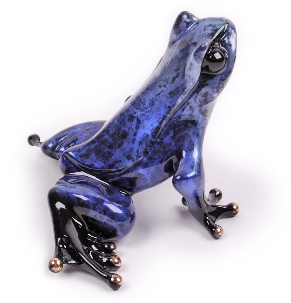 Cosmos by Tim Cotterill - R Frogs Gallery