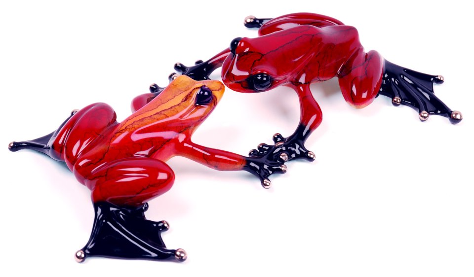 The Kiss by Tim Cotterill - R Frogs Gallery