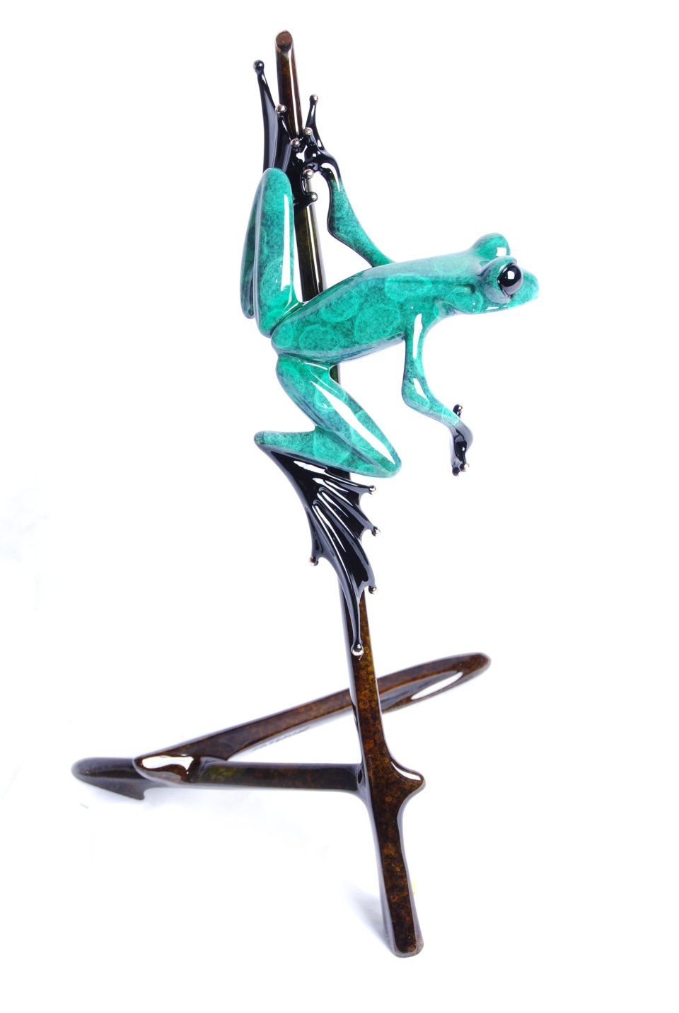 I Spy by Tim Cotterill - R Frogs Gallery